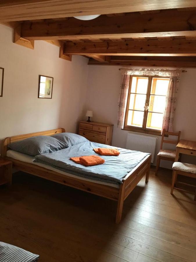 Hotel Samota U Hadince à Bartosovice v Orlickych Horach Extérieur photo