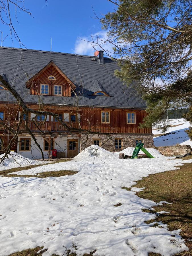 Hotel Samota U Hadince à Bartosovice v Orlickych Horach Extérieur photo