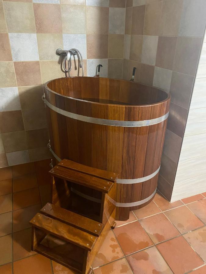 Hotel Samota U Hadince à Bartosovice v Orlickych Horach Extérieur photo